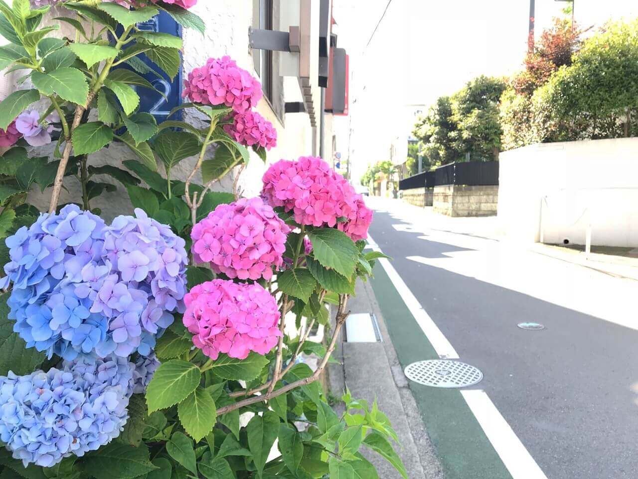 はま善 外観写真